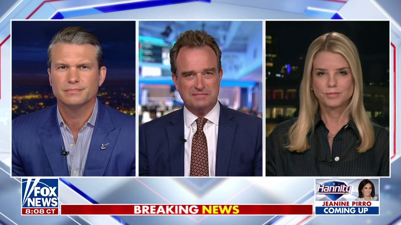 Panelists Pete Hegseth, Charlie Hurt and Pam Bondi discuss how the DNC is reportedly considering a partially remote convention due to potential Chicago protests on ‘Hannity.’