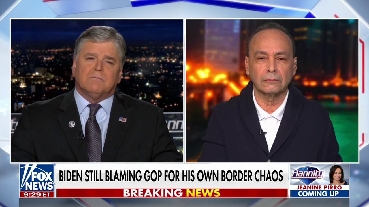 Hannity spars with former Democrat lawmaker over immigration crisis