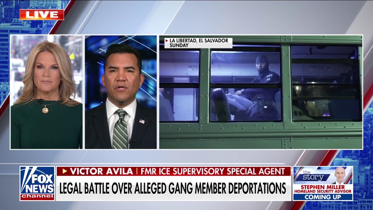 Former ICE special agent says suspected gang members are in 'every corner of our country'