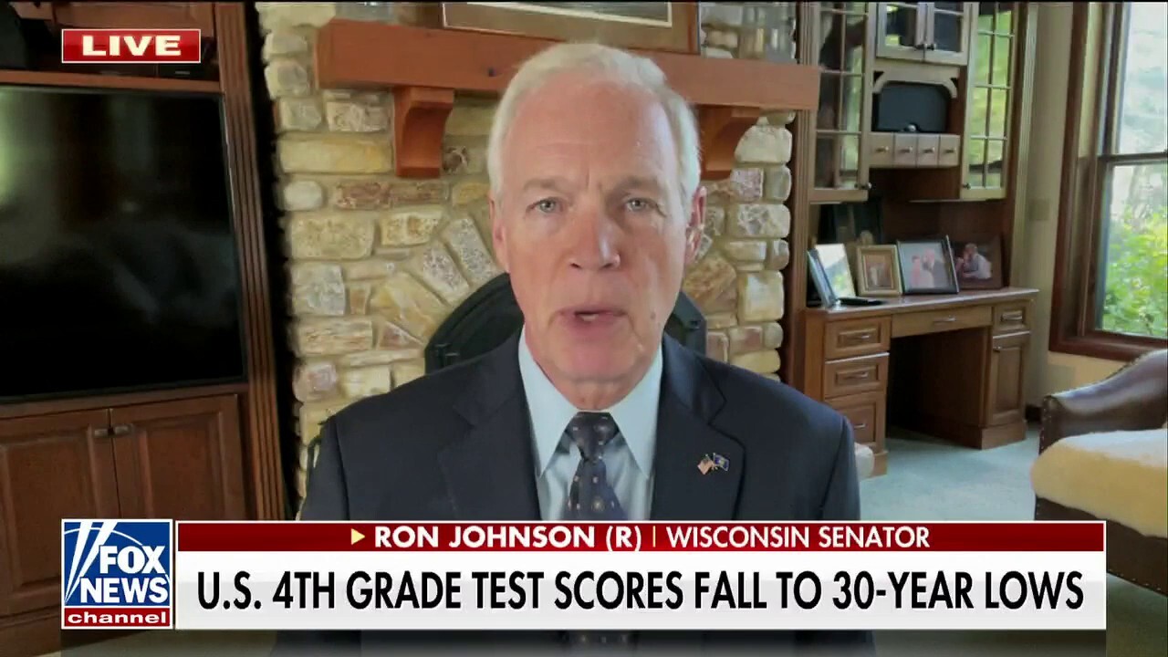Sen. Johnson reacts to bombshell pandemic-related learning loss report: 'Miserable failure'