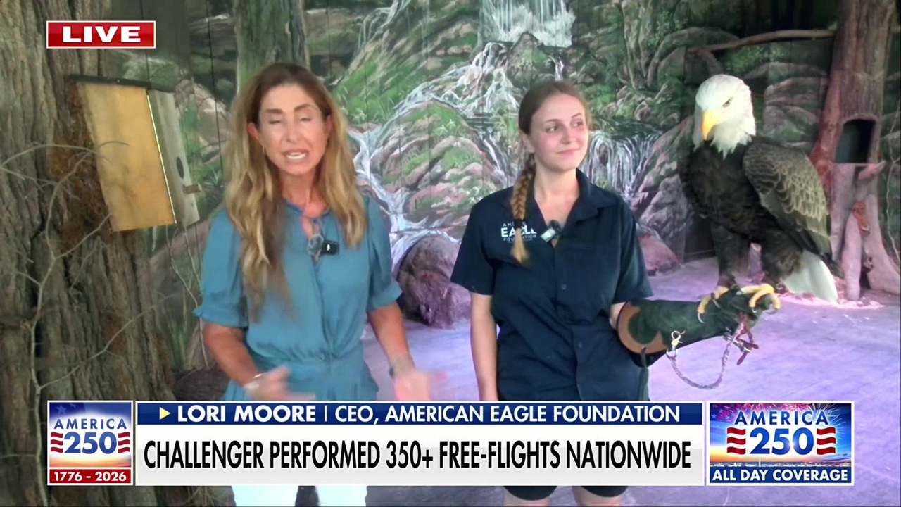 'Most famous bald eagle' Challenger celebrates America's 250th anniversary