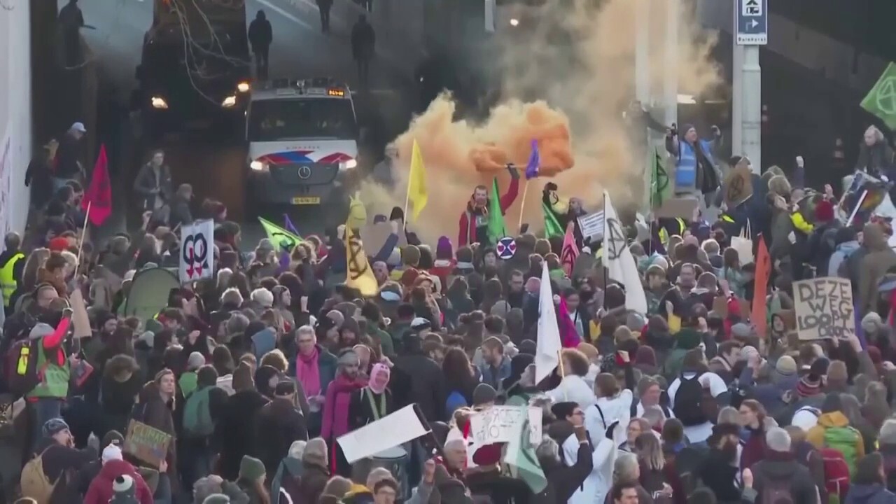 Climate change protesters in The Hague block highway, get detained