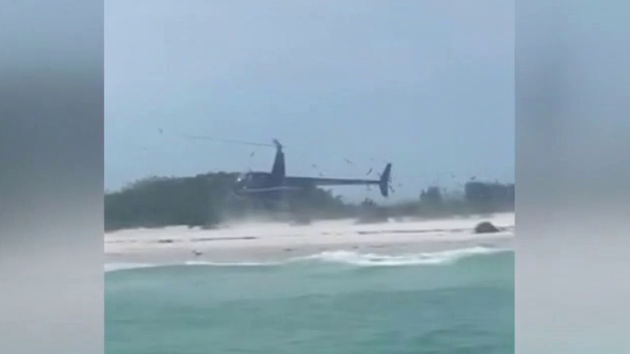 Пилот на хеликоптер във Флорида е обвинен в тормоз на защитени птици след кацане на място за гнездене на крайбрежни птици