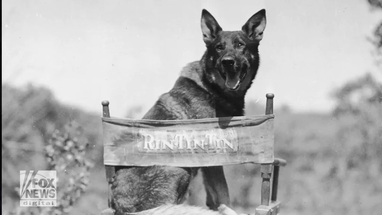 U.S. Army’s WWII K-9 Corps was born on this day in history, March 13, 1942