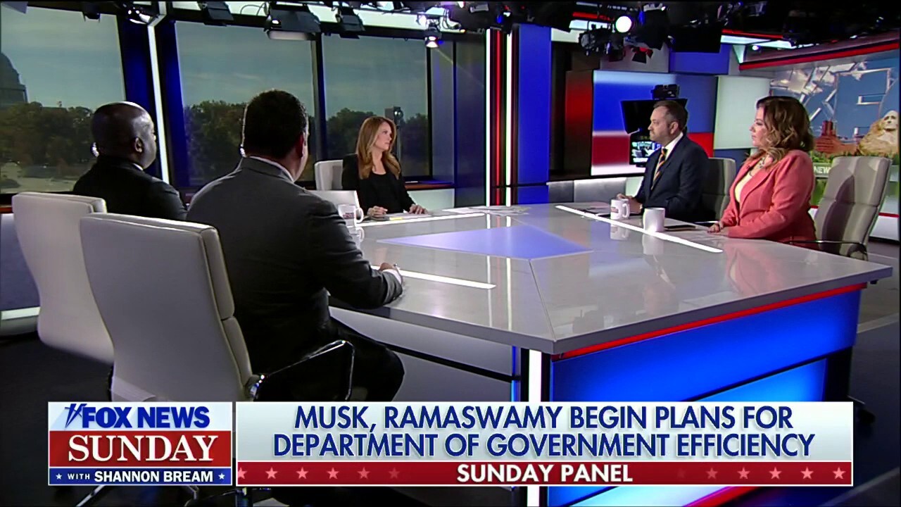 Fox News Sunday panel breaks down Pam Bondi's AG nomination, DOGE plans from Musk and Ramaswamy