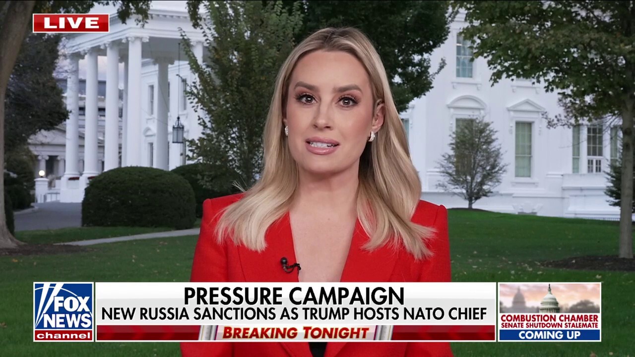 Fox News senior White House correspondent Jacqui Heinrich has the latest on the Trump administration's efforts to end the Russia-Ukraine war on 'Special Report.'