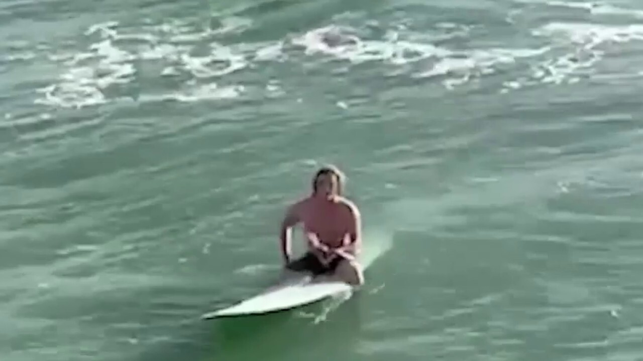 Mystery surfer caught on camera rescuing struggling sea bird