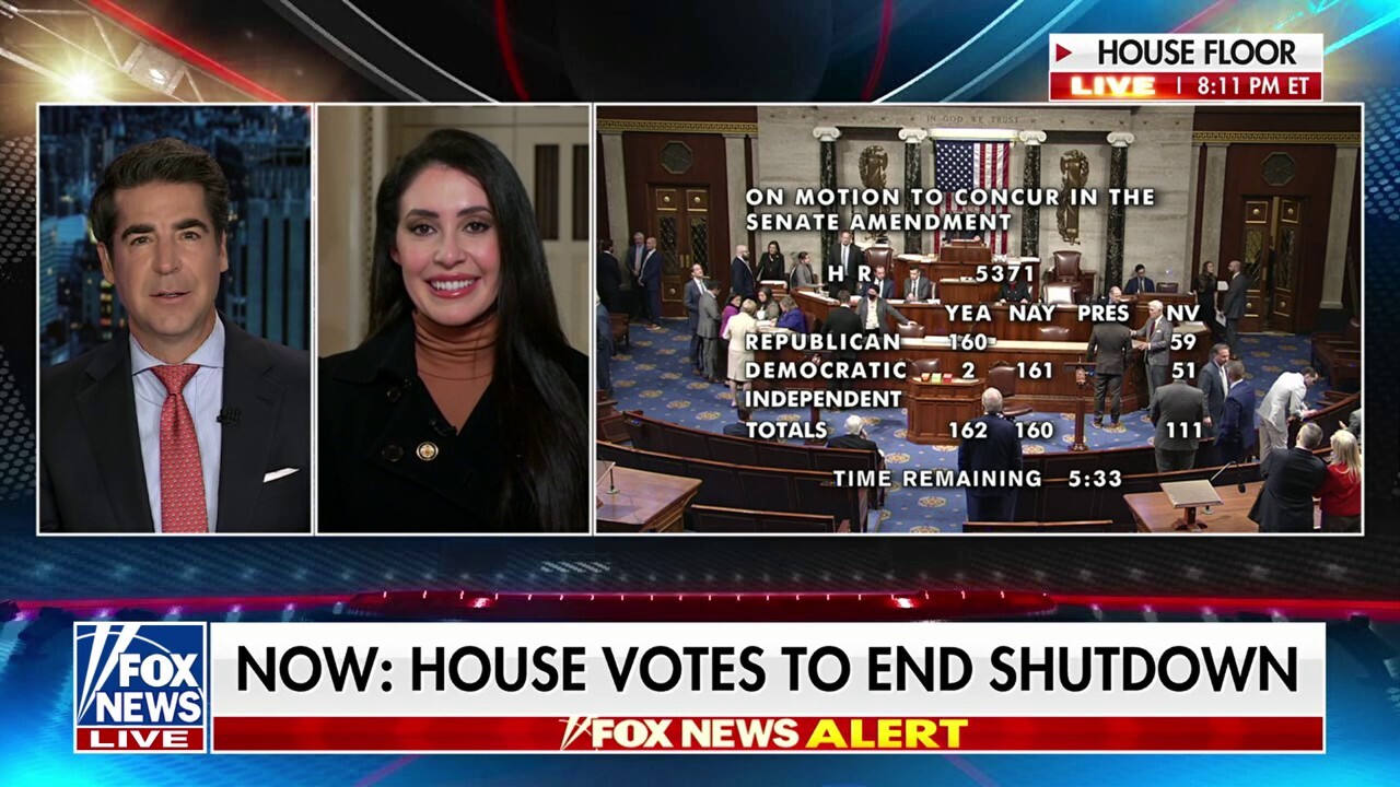 Dems lost the national messaging on all fronts tonight: Rep. Anna Paulina Luna