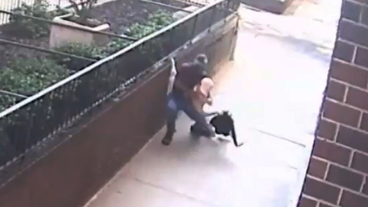 Elderly woman choked and robbed by thief in New York City