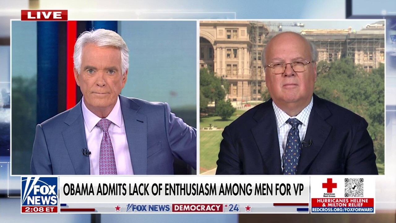 Democrats are ‘suffering’ from a lack of enthusiasm from black voters: Karl Rove