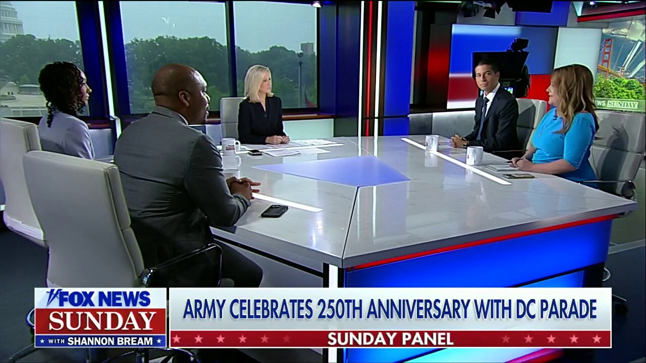There is a ‘hunger for Americans to come together’ after DC military parade: Army veteran