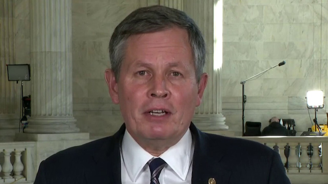 Sen. Daines: Whistleblower election fraud claims 'very concerning'