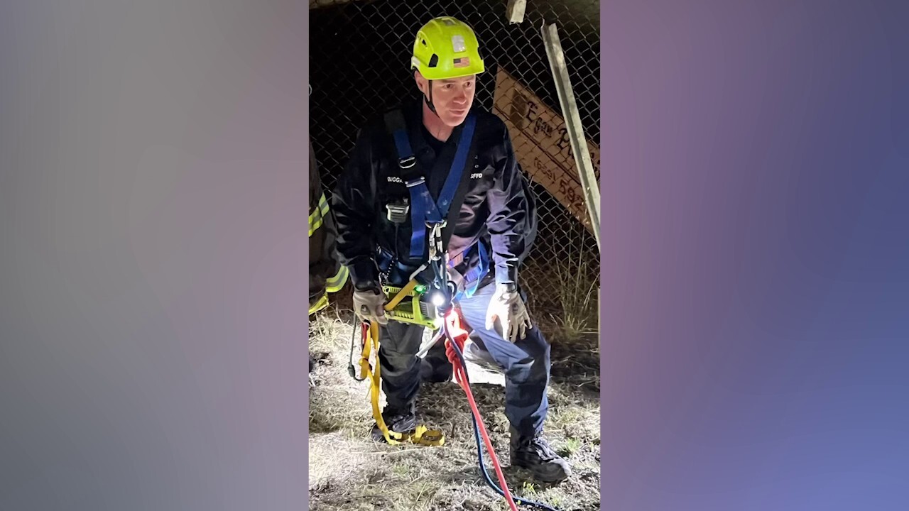 Късметлийско калифорнийско куче беше спасено от екипи за първа помощ