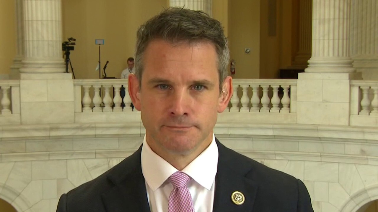 Rep. Kinzinger Says There’s A ‘political Motive’ Behind Russian ...