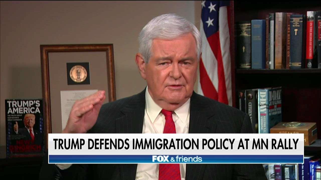 Gingrich Calls Out 'Remarkable Hypocrisy' From the Left on Immigration