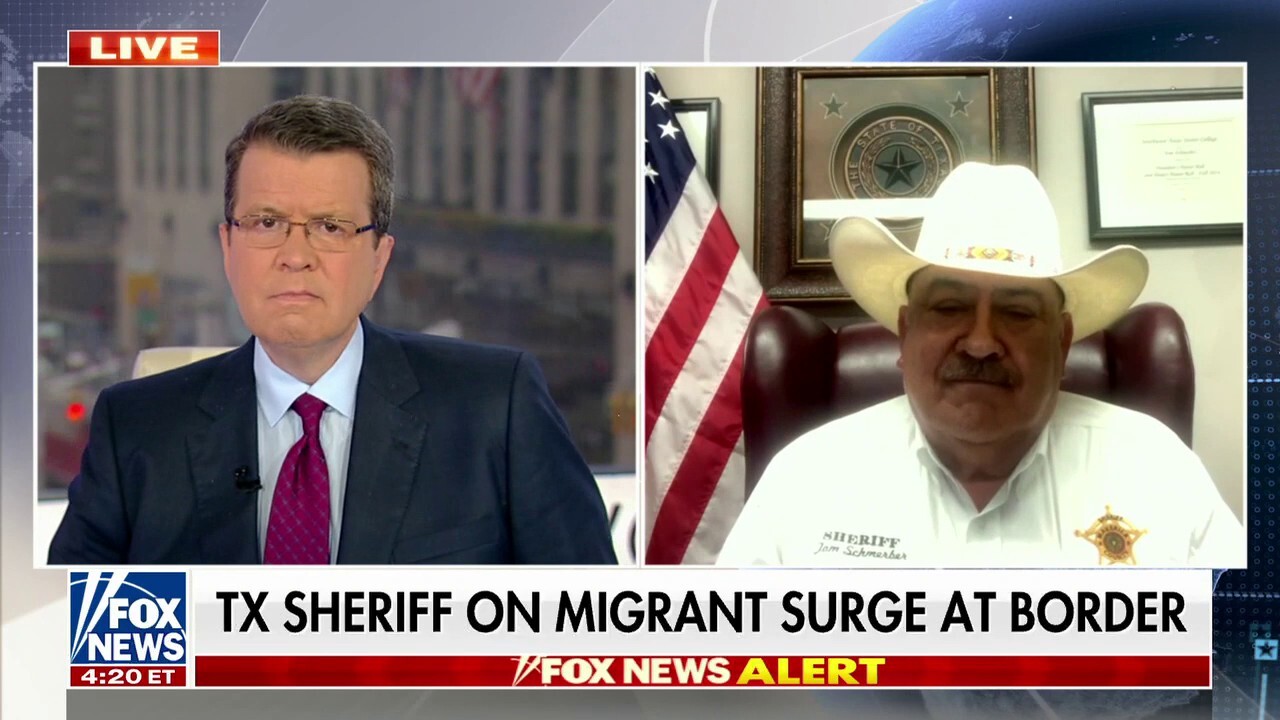 Texas sheriff on border security: 'This wave is going up there in the north'