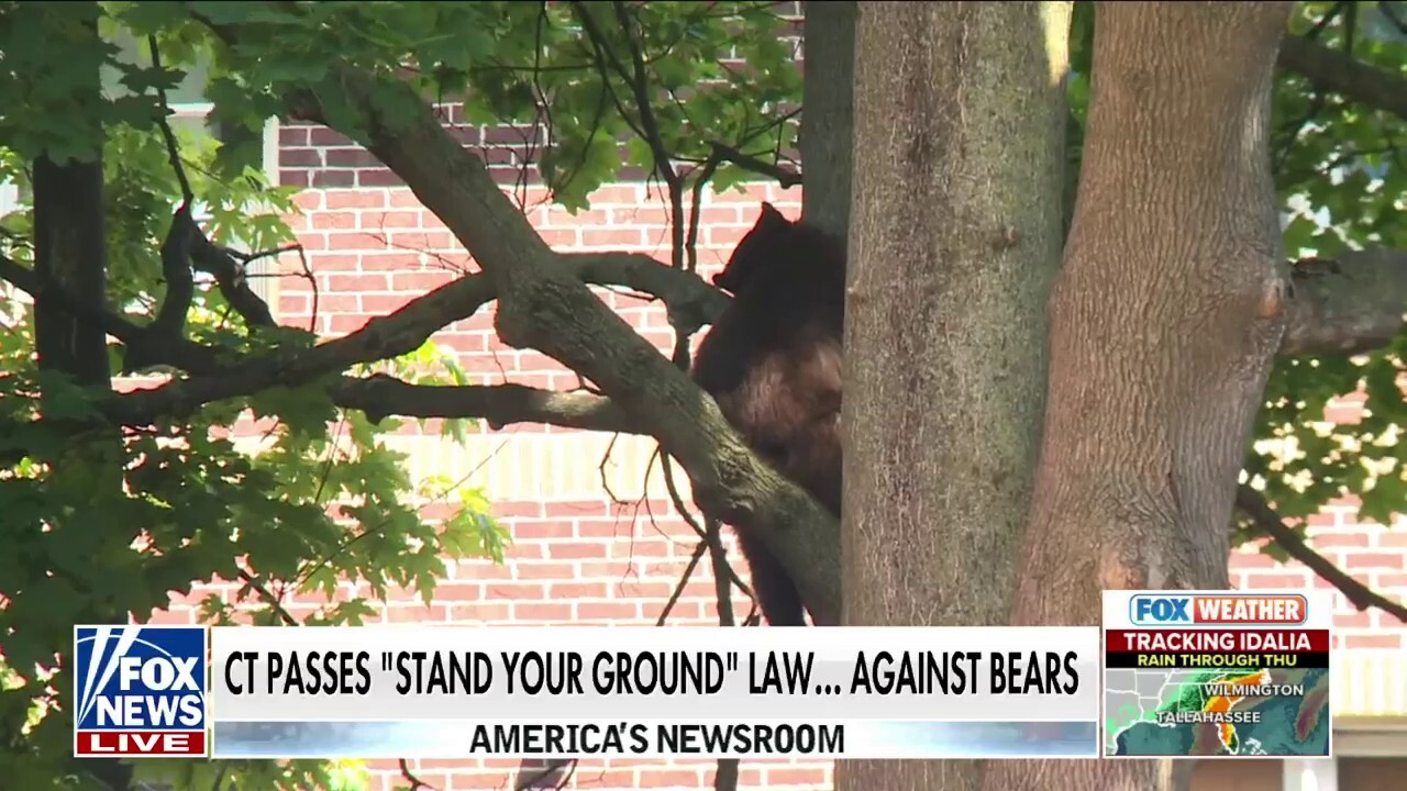 Connecticut passes 'Stand Your Ground' law... against bears