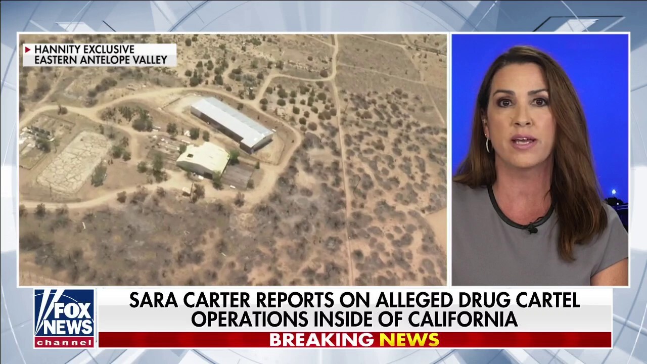 Sara Carter investigates sprawling cartel-linked marijuana grows in California
