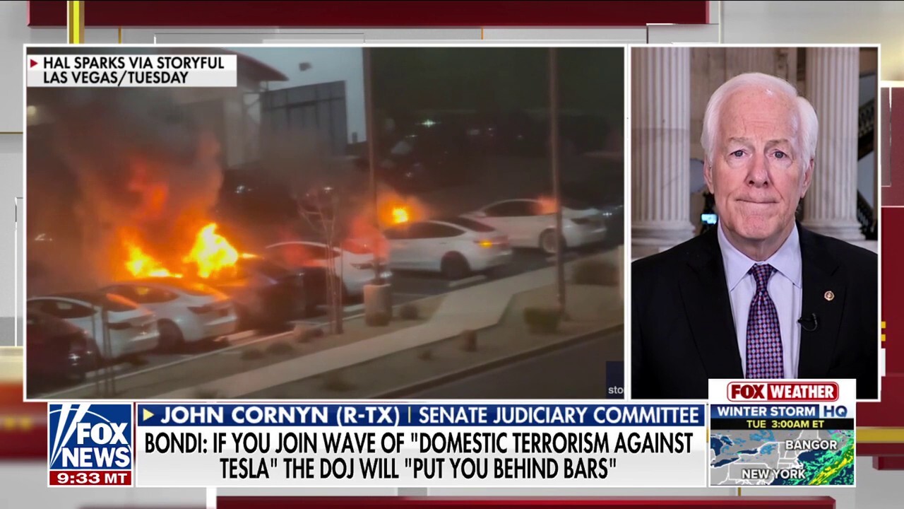 Sen. Cornyn calls out Dems for attacking Tesla amid climate policy push