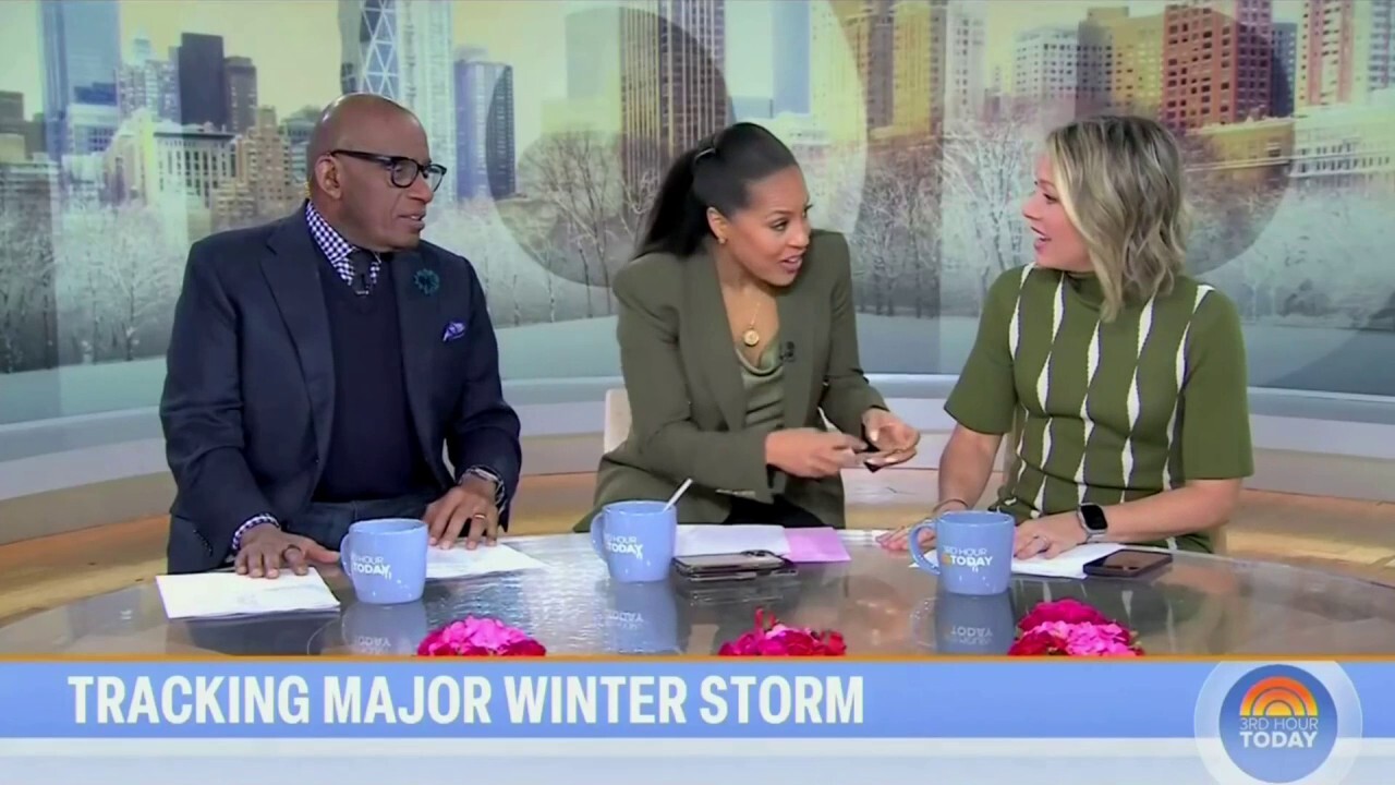 Al Roker yells at NY Mayor Adams' admin for no snow day despite storm: 'Give them the day off, people!'