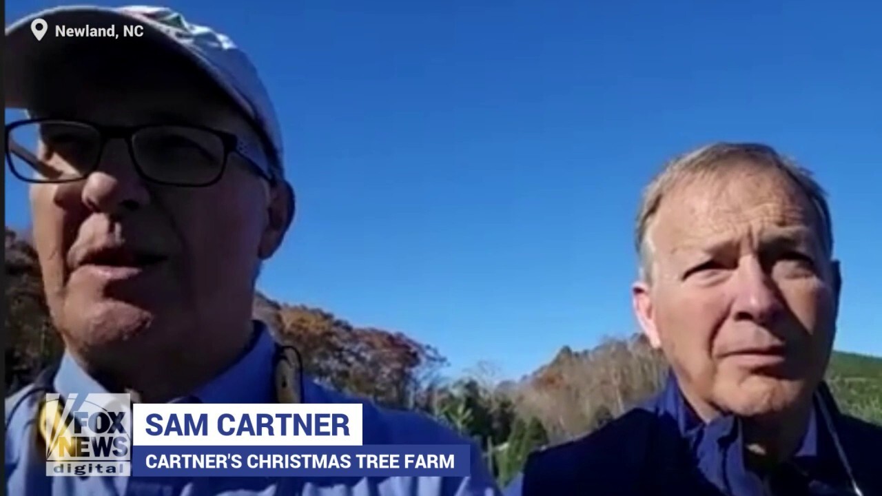 North Carolina family farm to provide White House Christmas tree 