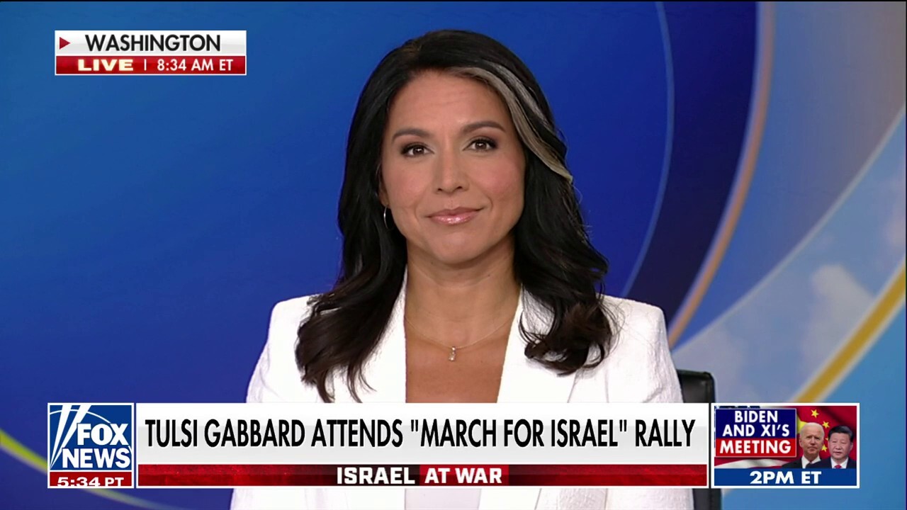 Israel rally was a ‘powerful’ experience, full of ‘hope’: Tulsi Gabbard
