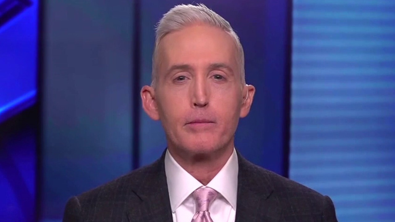 Trey Gowdy: It was the media's job to know about Cuomo allegations