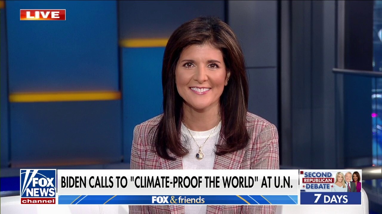 Nikki Haley: We need someone who can win a general election