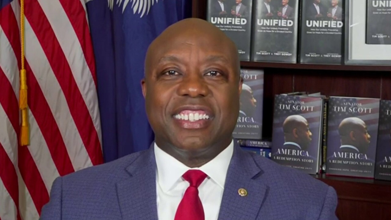 Sen. Tim Scott, R-S.C., previews the 2024 RNC convention as the Trump veepstakes heats up on 'Hannity.' 