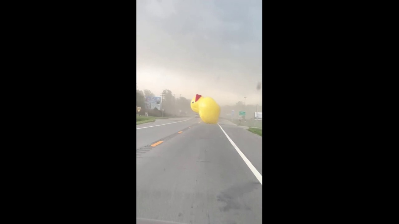 Гигантска надуваема патица се носи по пътя в Мичиган по време на силни ветрове