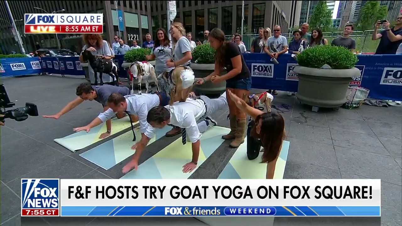 'Fox & Friends Weekend' co-hosts try goat yoga 
