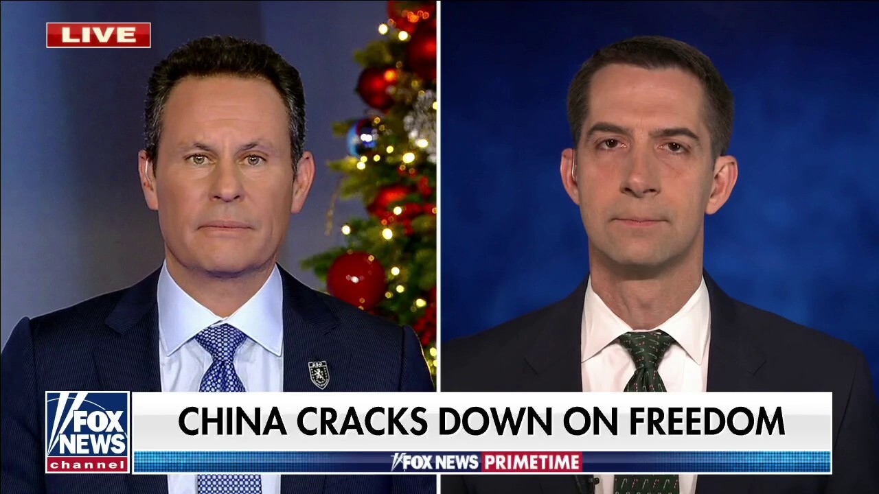 Tom Cotton: We need to reduce our entangled trade relationship with China   