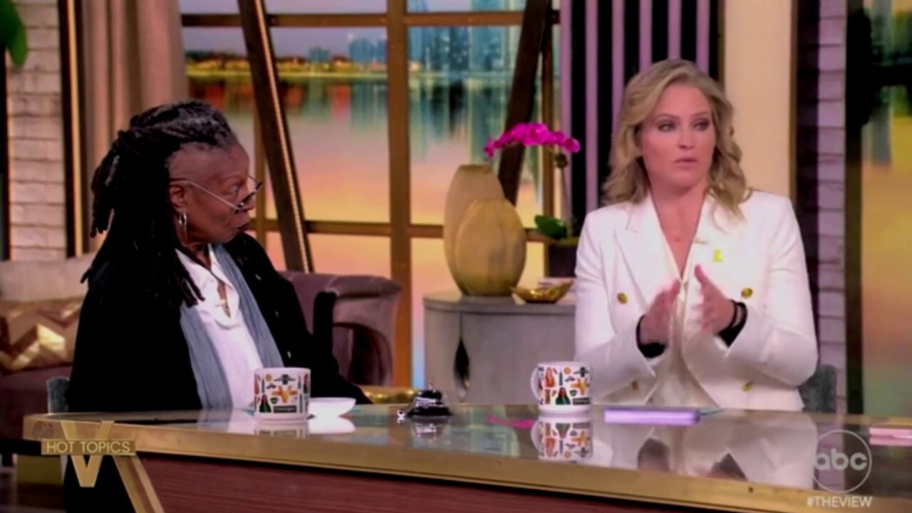 'View' co-host warns Democrats that 'screaming' and 'performative' rhetoric won't fix the country