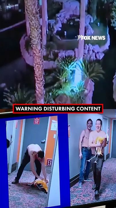 Tourist who stole flamingo faces animal cruelty charges