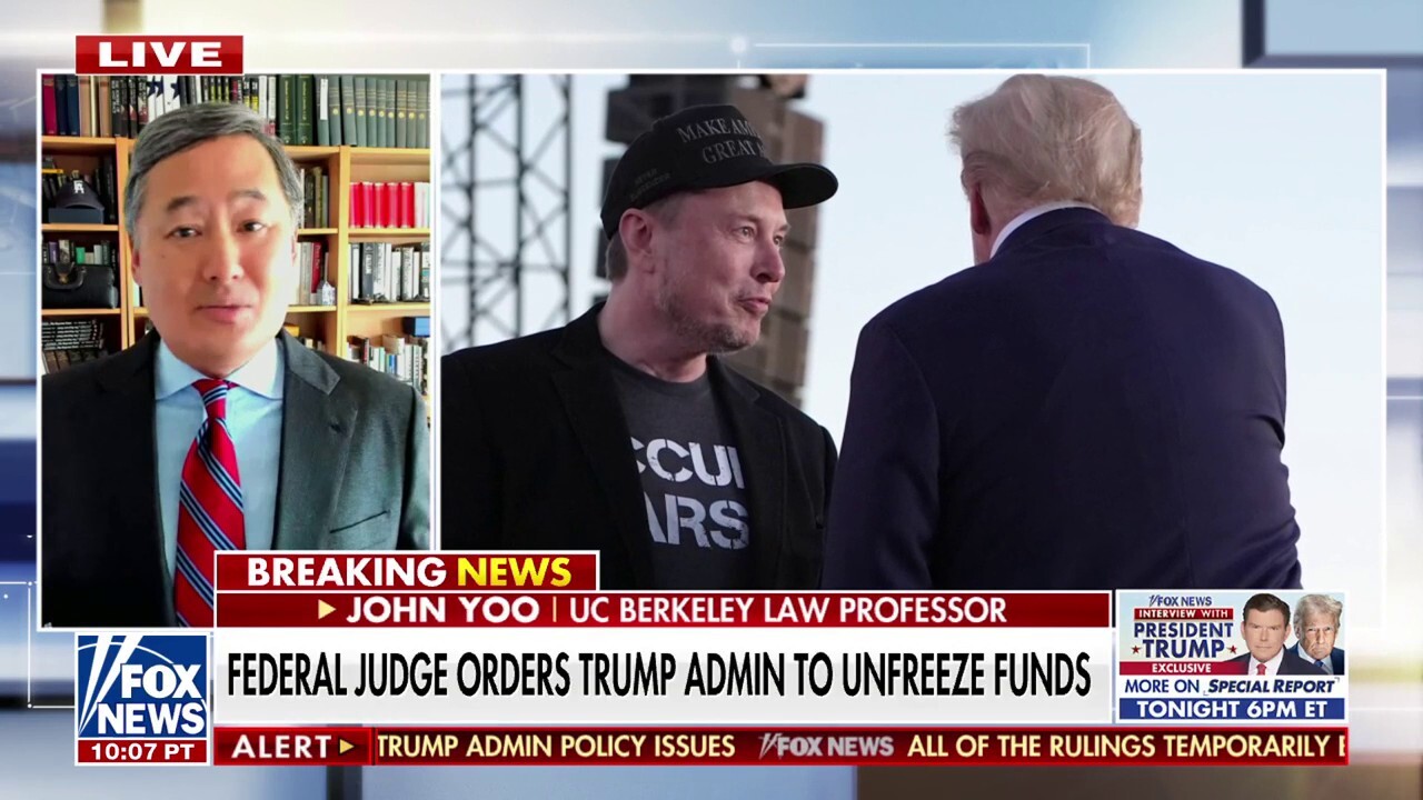 John Yoo: Dems displaying 'institutional weakness' by using federal judge to unfreeze funds cut by Musk, DOGE