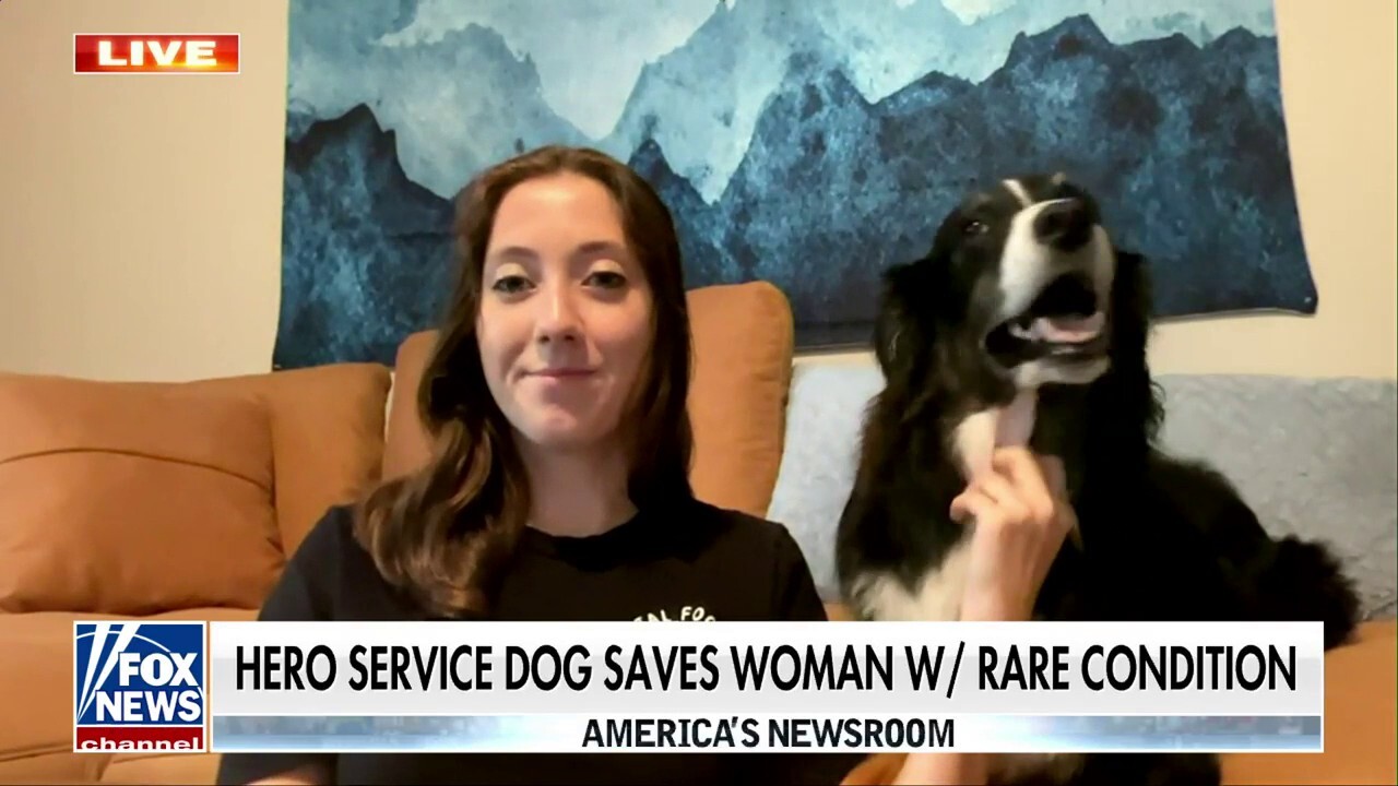 Service dog comes to the rescue during owner's medical episode