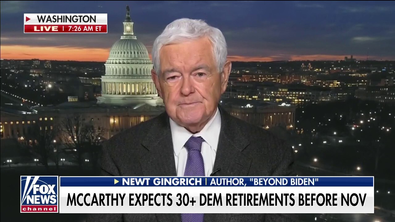 Newt Gingrich: We could 'easily' see more than 30 House Democrats retire