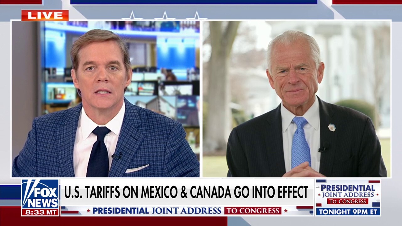 Peter Navarro on Trump tariffs: 'We're simply defending ourselves'