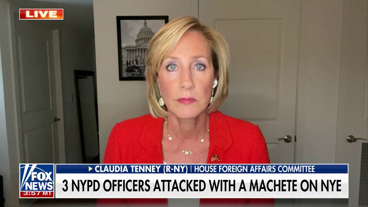 FBI 'not really keeping us safe' after NYPD machete attack: Rep. Claudia Tenney
