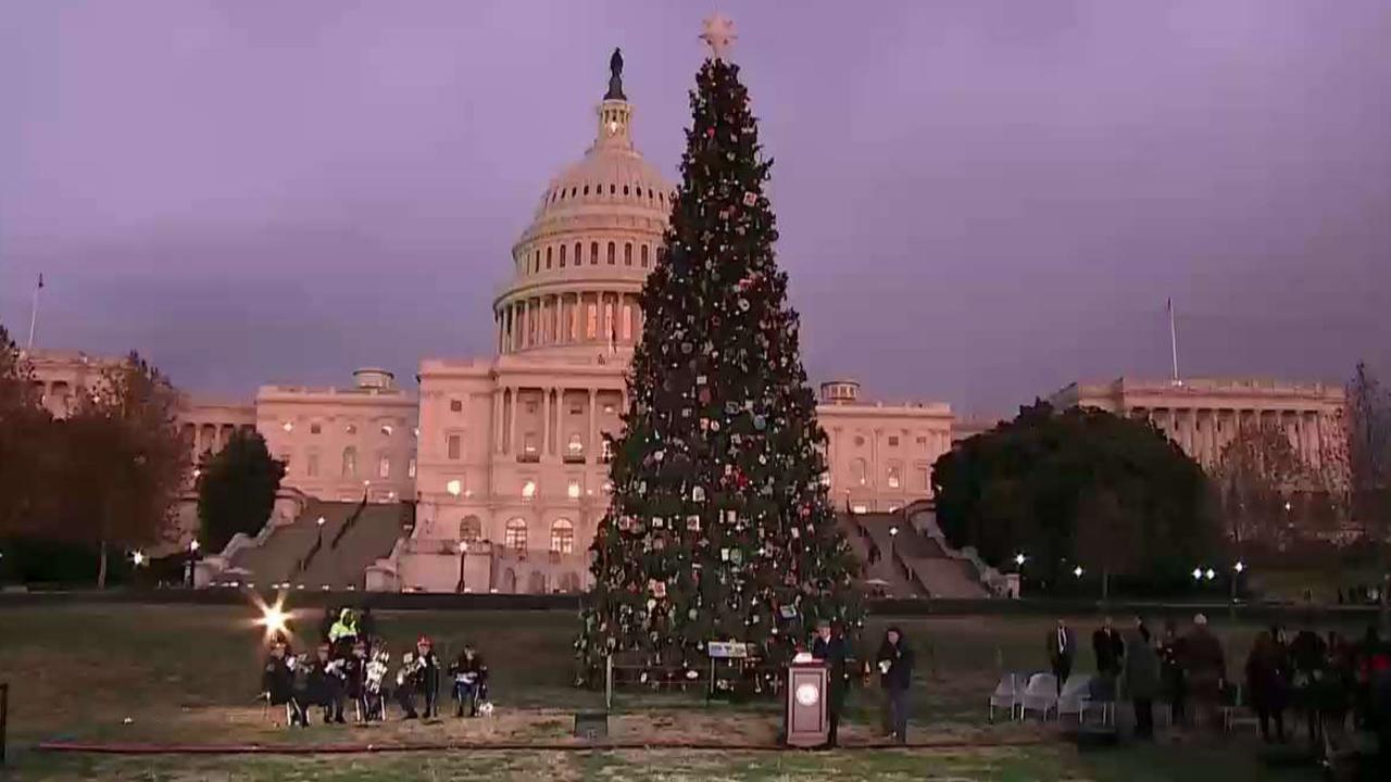 2019 Capitol Christmas tree lighting ceremony
