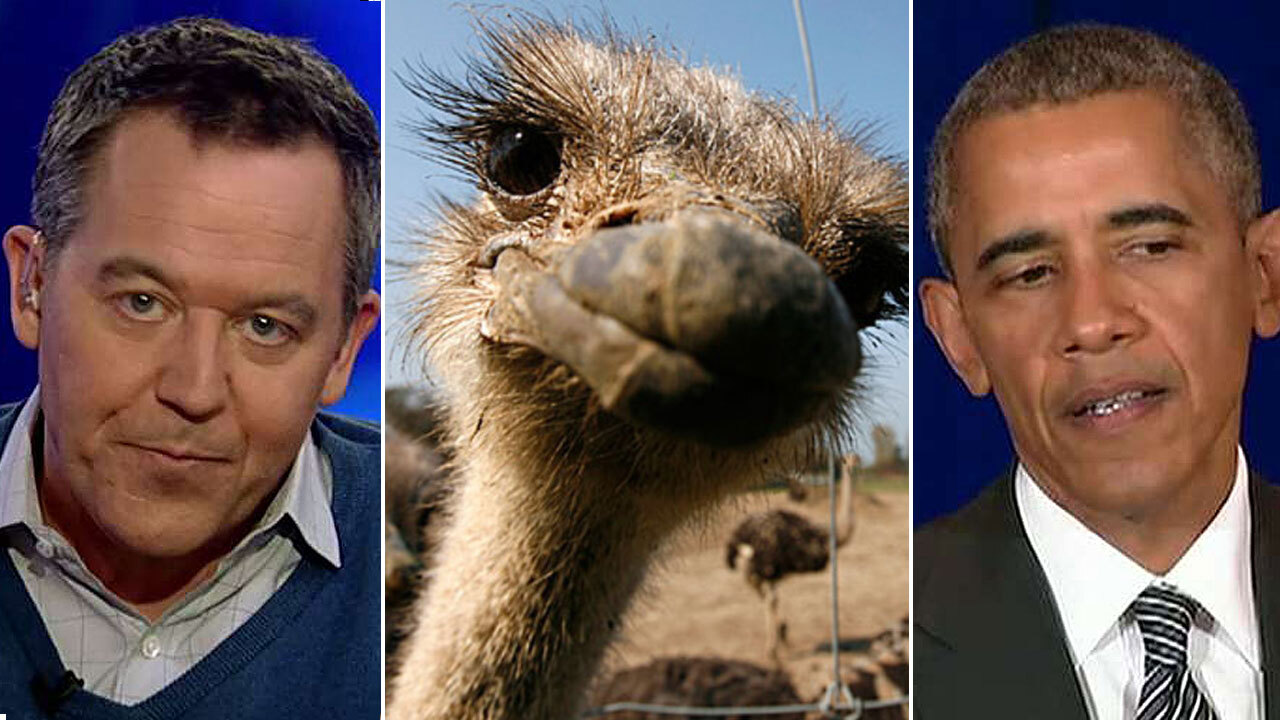 Gutfeld: The White House mascot should be an ostrich