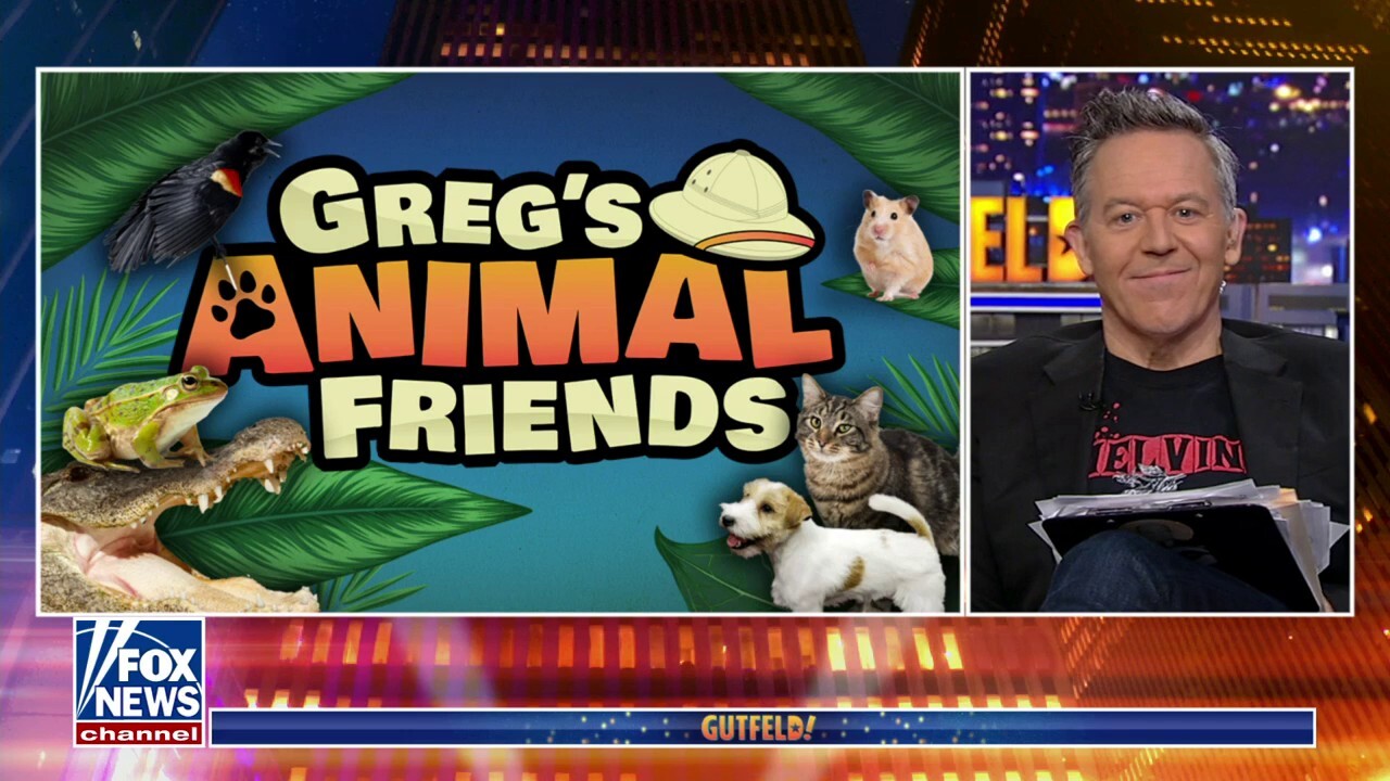 'Greg's Animal Friends': Goats in sweaters, leopard geckos, dogs and bears
