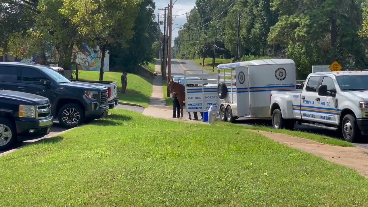 Memphis police and mounted police with horses set up a mobile command center and gather at Pine Hill Community Center in area where Eliza Fletcher’s alleged abductor lives