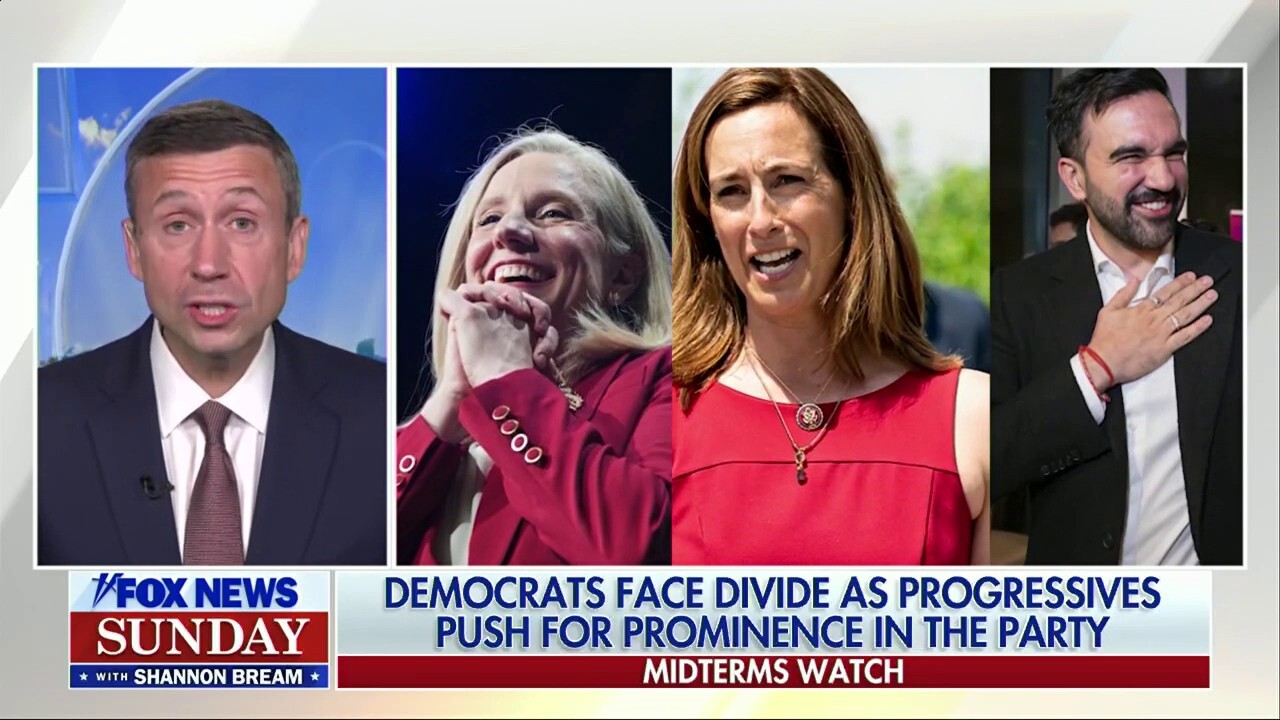 DNC Chair Ken Martin joins 'Fox News Sunday' to discuss the current state of the Democratic Party following key election victories, controversial comments made by Democrats on the campaign trail and the ongoing government shutdown.