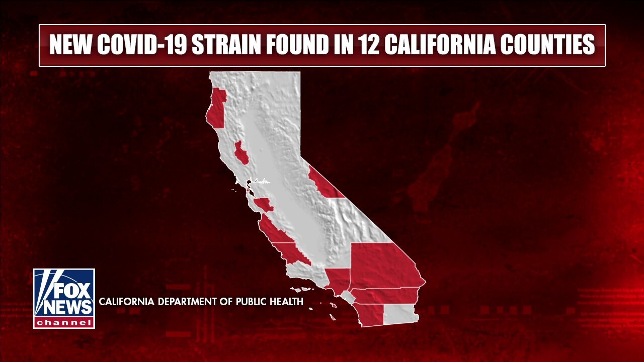 New coronavirus strain found in 12 California counties