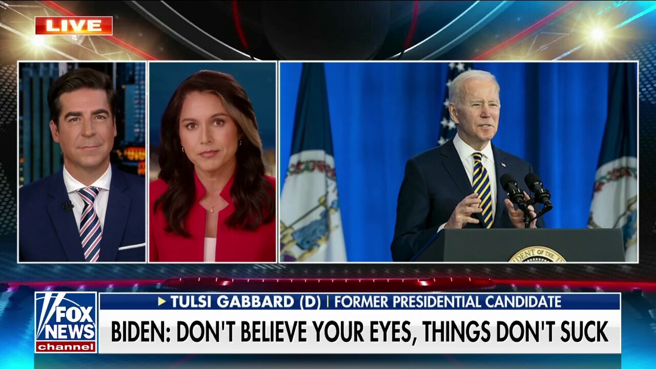 They are trying to paint these rosy pictures that are blatantly false: Tulsi Gabbard