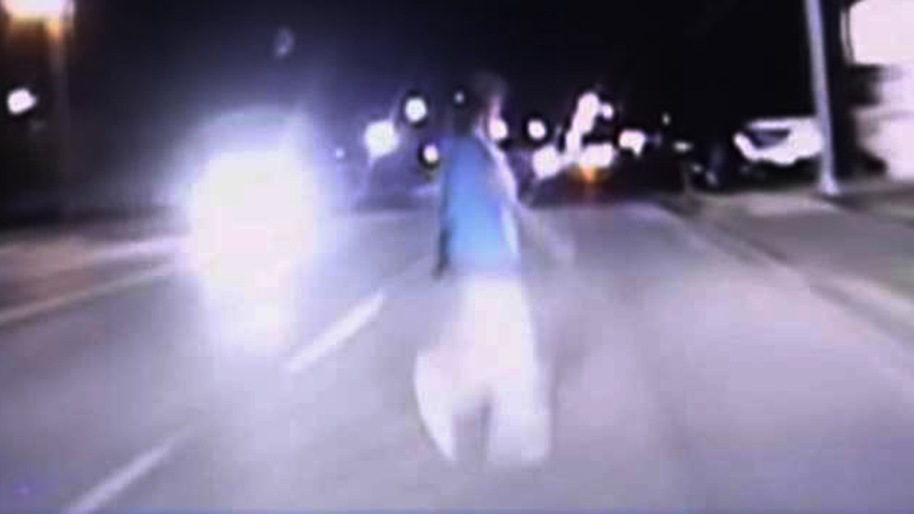 Cop on dash cam: 'I think I hit a person'