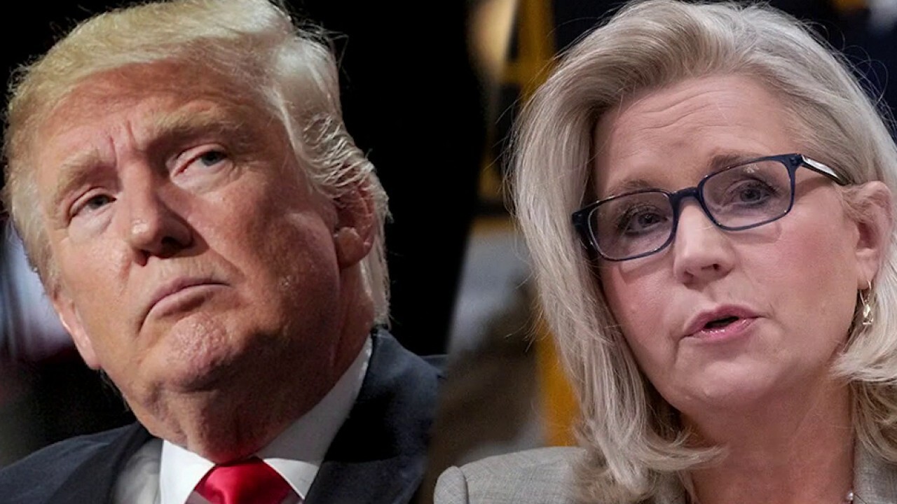 Wyoming Incumbent Liz Cheney Battles Trump-backed Hageman | Fox News Video