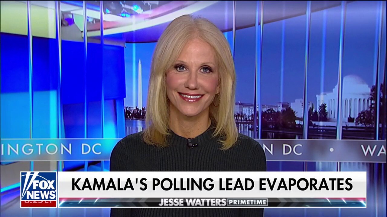 Kamala Harris has 'frittered away' her momentum by hiding: Kellyanne Conway