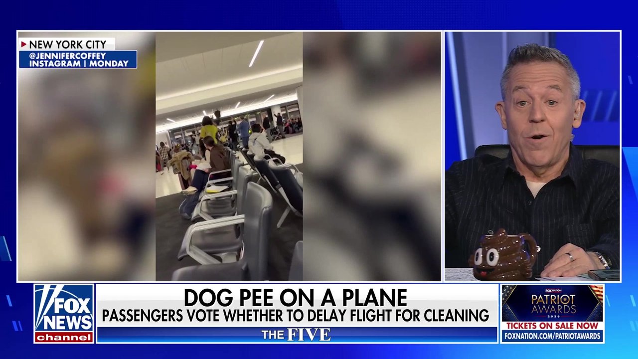 Greg Gutfeld: Democracy should not be part of air travel